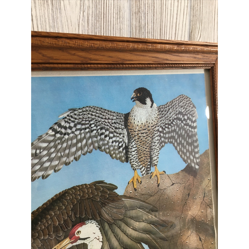 James Kukrul Wildlife Print Signed & Framed Eagle Crane Woodpecker 22x27 - Picture 12 of 16